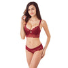 2016 New Lace bra set 32-42 A B C D Plus Size Bra and Panty Sets Red Push Up Embroidery Bra Set