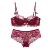 2016 New Lace bra set 32-42 A B C D Plus Size Bra and Panty Sets Red Push Up Embroidery Bra Set